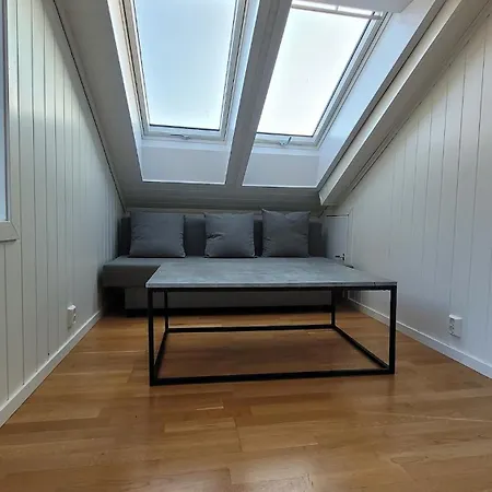 Charming Attic With A Private Entrance Апартаменти Берген